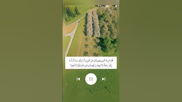 الآية 17 من سورة الاحزاب للقارئ رعد الكردي #الله #قرآن #راحة_نفسية #اكسبلور #foryou