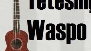 Lirik Lagu Waldjinah - Tetesing Waspo