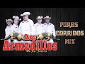 Puros Corridos Mix - Los Armadillos dela Sierra