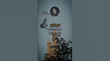 شريف مصطفى سورة الطارق