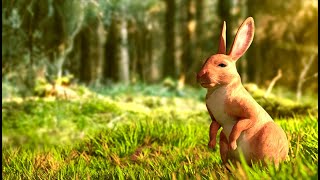 Realistic Rabbit 3d model