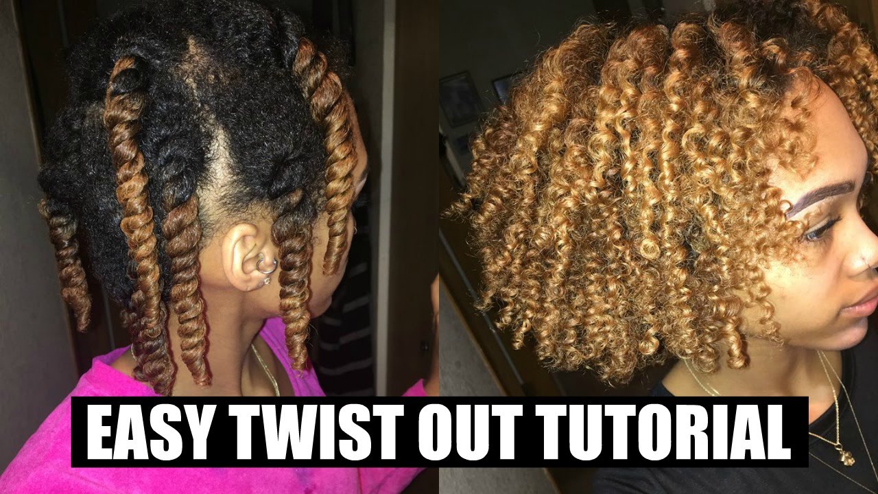 Easiest Twist Out On Short Medium Natural Hair Ft Camille Rose