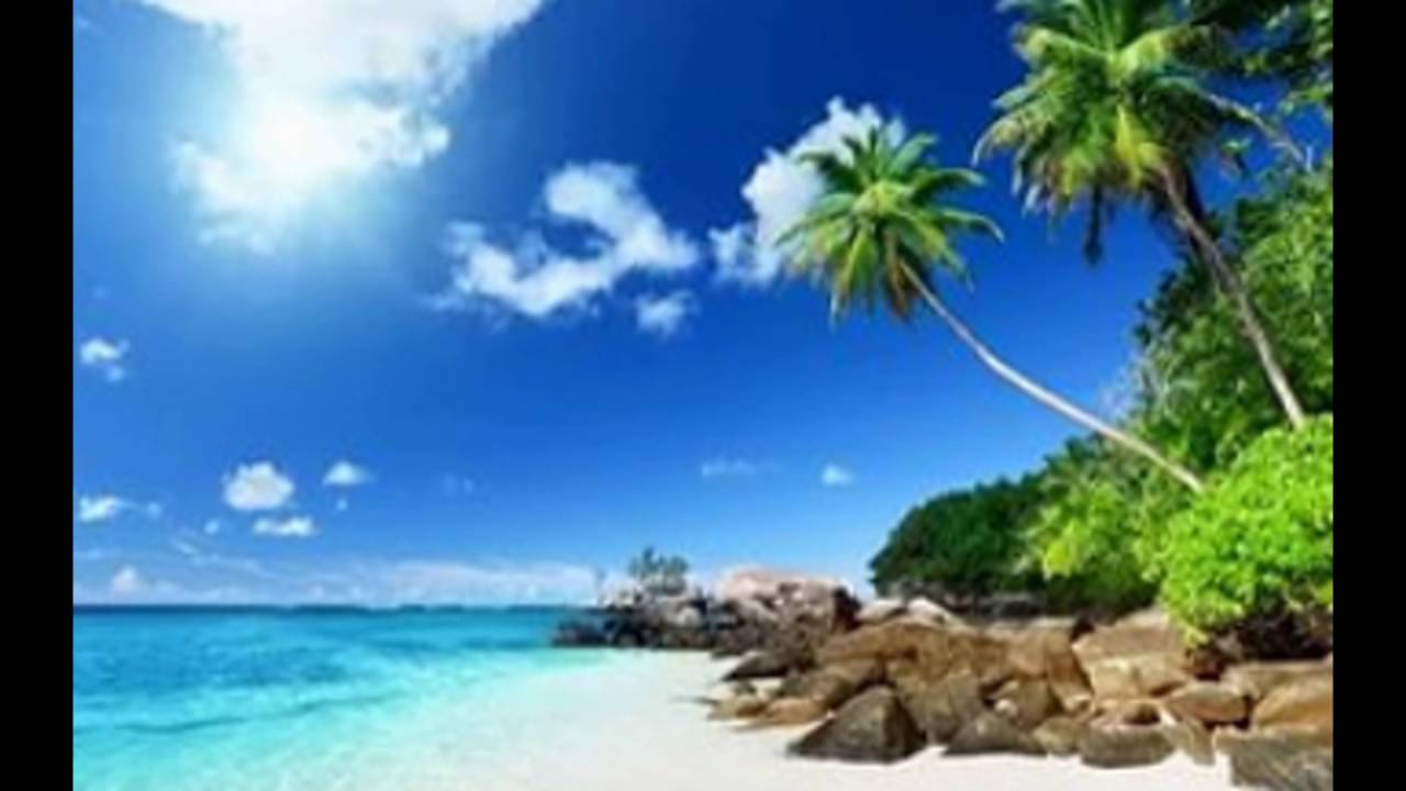 Автомобиль у моря картинки