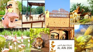 AL AIN ZOO / Visiting Al Ain Zoo mini vlog #UAE #abudhabi #Al Ain