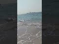 مبقاش في حد بيشتري المخلصين 