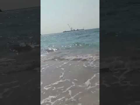 مبقاش في حد بيشتري المخلصين