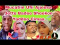 Dubbiin Jabate Shekooleen Hedduu DallananniiЁЯШнAbuu Mua Aziifi Sheekni Robee Mucatii Asilii Jalaatee A Dubbiin Jabate Shekooleen Hedduu DallananniiЁЯШнAbuu Mua Aziifi Sheekni Robee Mucatii Asilii Jalaatee A