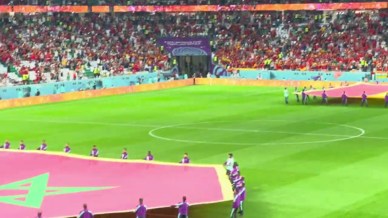 FIFA World Cup Qatar 2022