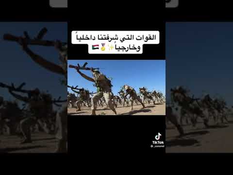 الدعم السريع دعامه