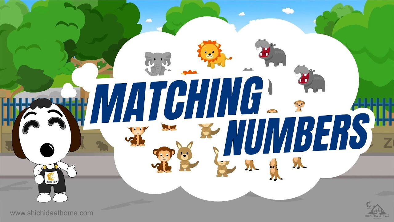 Let's Count Zoo Animals Together! 🐘🦁🐒 |  Learning Video for Babies and Toddlers