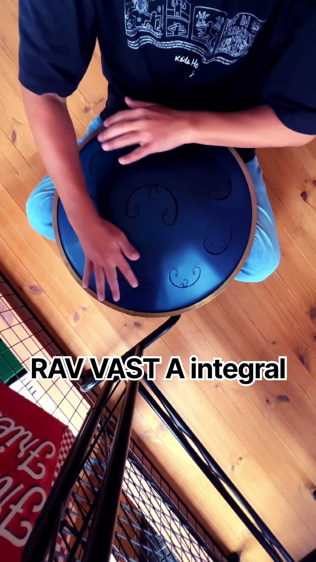 RAV VAST A integral FROG DRUM HANDPAN GUDA DRUM - YouTube