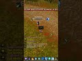 Rogue vs Mage From ZG to SW #worldofwarcraft #wowclassic #rogue #pvp #mage