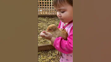 نم نم ضحك فله وناسه طقطقه مقاطع مضحكه استهبال الرياض ممتعه فصله نكت تنكيت طهبله 
