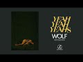 Yeah Yeah Yeahs - Wolf (Boys Noize Remix) (Official Audio)