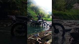Download Lagu lucu dengar musik koplo pas joged warga datang malu gua #jogetwelut MP3 Download Lagu lucu dengar musik koplo pas joged warga datang malu gua #jogetwelut MP3