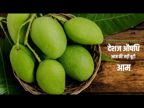 वीडियो: एलिसम समुद्री (31 फोटो): खुले मैदान के लिए एक जड़ी-बूटियों के पौधे का विवरण। बीजों से समुद्र तटीय लोबुलरिया उगाना