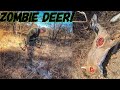 I SHOT A ZOMBIE DEER W/ My BOW 😳 | Bowmar Bowhunting |