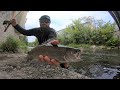 Rainbow and Brown Trout fishing on Stream ... part 2  with Rodiocraft 999.9 Grey Wolf 63ML-e