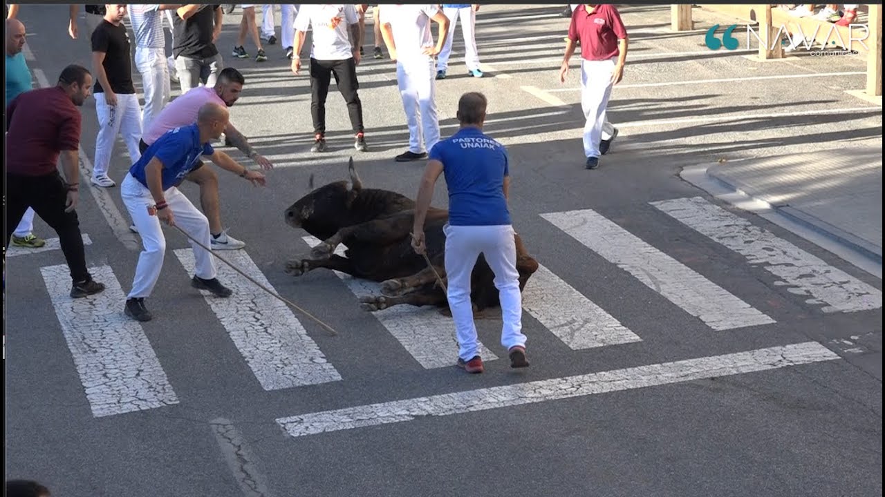 Encierro Tafalla 19-08-2023 // Ganadería Hermanas Azcona // Fiestas de Tafalla