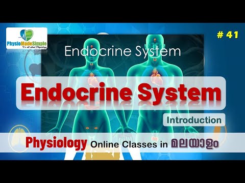 Ep.41 |  Endocrine System | Introduction #humanphysiology #malayalam #endocrinesystem