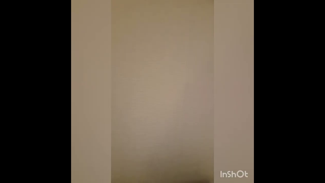 P&O Arvia Inside Cabin Deck 11 Midship