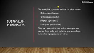 Subphylum Myriapoda And Classes