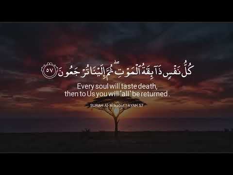 تلاوة قرأنية خاشعة😌تقشعر لها الأبدان🥺راحة للقلب❤️بصوت❤️عبد الرحمن مسعد