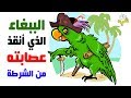 الببغاء المجرم! أحبط عملية قبض على عصابته ويثير ذهول الشرطة