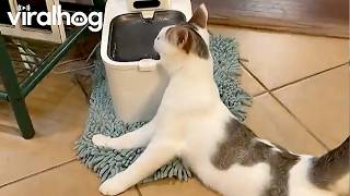 An Interesting Way to Drink Water || ViralHog