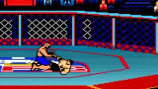 Ultimate fighting championship usa ...