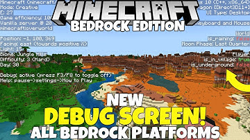 NEW Debug Screen Addon For Minecraft Bedrock Edition! (F3 Screen) MCPE PC Xbox Ps4 Switch
