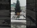 Снегопад на Алтае