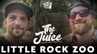 "Gettin' Jiggy With It" (Will Smith cover) by The Juice LIVE at Little Rock Zoo
