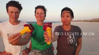 Turtle Watching Code Of Conduct