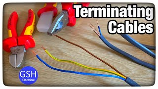 Terminating PVC/PVC Twin and CPC Cables (How To Strip and Terminate Twin and Earth Cables)