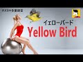 YELLOW BIRD イェローバード ギター演奏