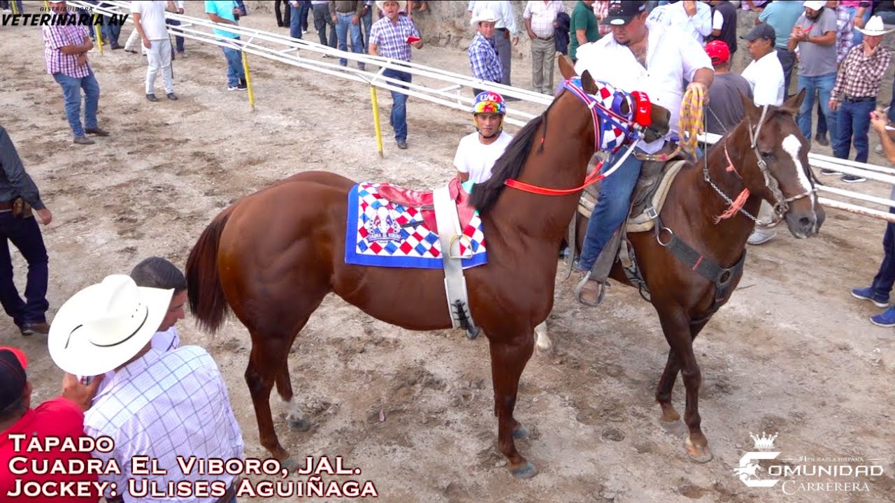 Final Derby 50 vrs. C. El Viboro. Carril El Burrito, JAL. YouTube
