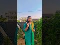 college ponga