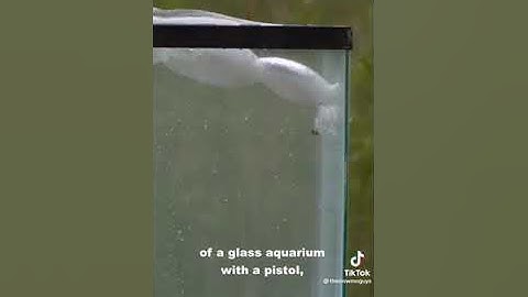 bouncing bullets off water in ultra slow motion