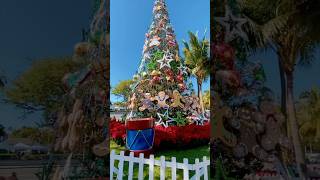 Christmas in Maui, Hawaii 🏝️