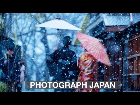 PHOTOGRAPH JAPAN! Tokyo, Kyoto, Nagano Japanese Snow Monkeys and more