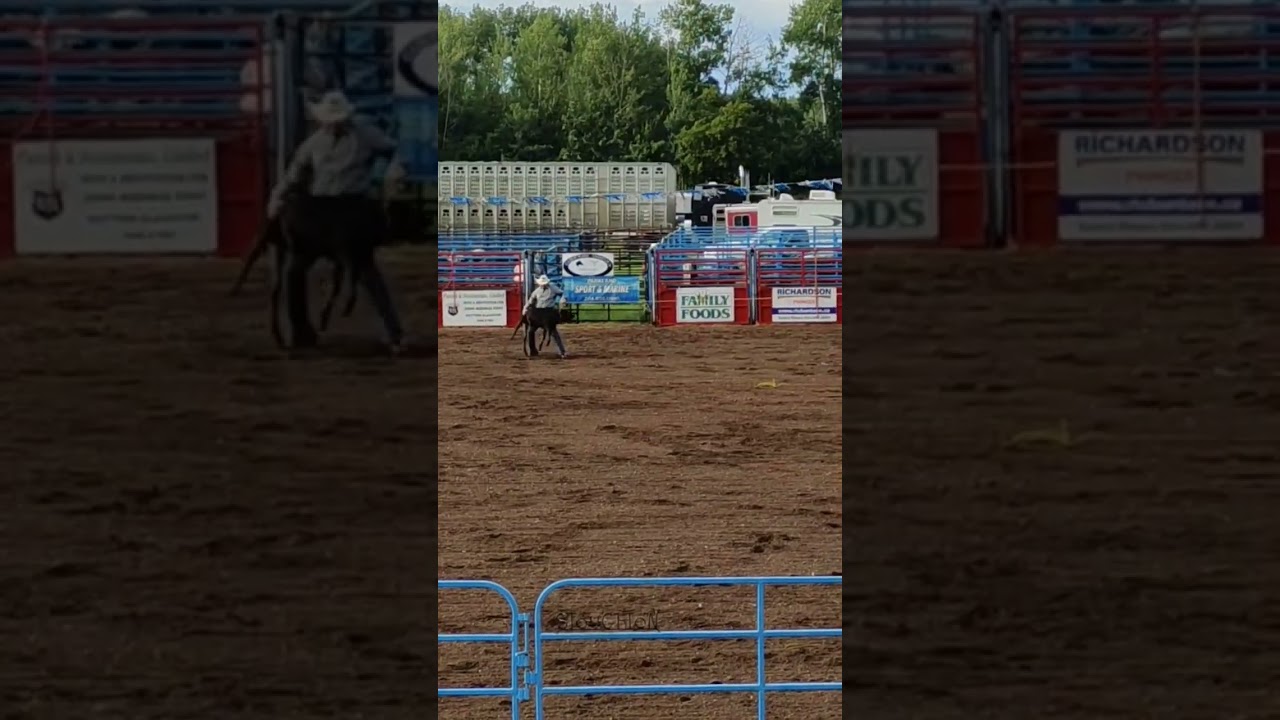 🇨🇦 родео, все по настоящему 