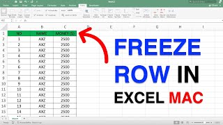 How to Freeze a Row in Excel [ MAC ]