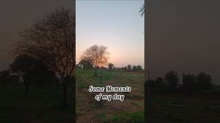 day 7/100 l#challenge #minivlog #ytshorts #farming #villagelife