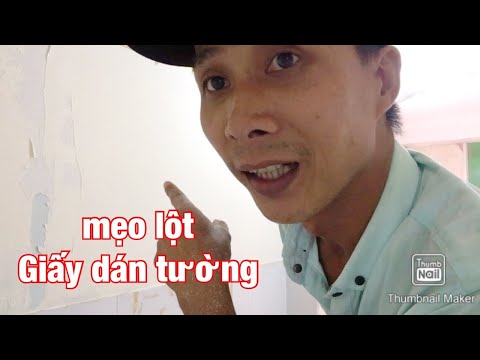 Video: Cách Cai Sữa Chó Gặm Giấy Dán Tường