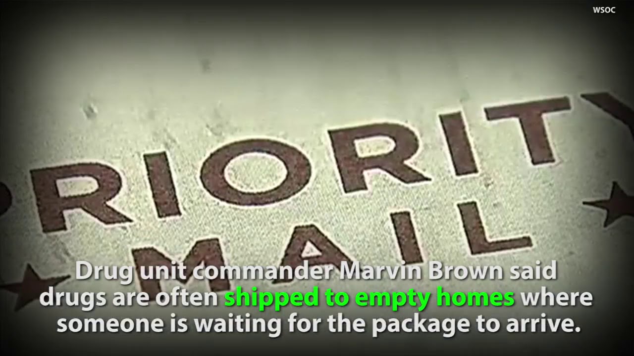videos for cats South Carolina Woman Receives $400,000 Of Drugs In The Mail