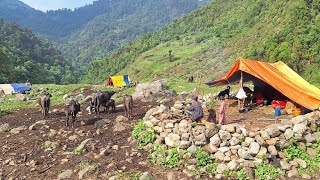 Most Relaxing Nepalo Mountain Village Life Organic Village Food And Beautifully Place
