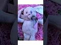 satisfying video #comment #likeandsubscribe