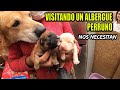 🐶 VISITAMOS UN ALBERGUE QUE NOS NECESITA (MIRA ESTE VIDEO🙏🏼)  | DILO NOMAS Ft.  @Mi Receta Magica