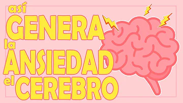 ¿Qué parte del cerebro provoca la ansiedad?